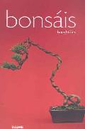 Bonsis