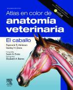 Atlas en color de anatoma veterinaria