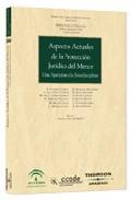 Aspectos actuales de la proteccin jurdica del menor