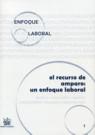 El recurso de amparo