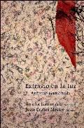 Extravo en la luz