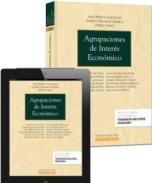 Agrupaciones de inters econmico