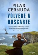 Volver a buscarte
