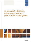 La proteccin de ideas, invenciones, marcas y otros activos intangibles