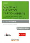 Seguridad energtica y medio ambiente