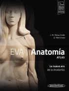 EVA Anatomía