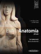 EVA Anatoma