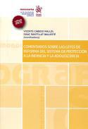 Comentarios sobre las leyes de reforma del sistema de proteccin a la infancia y la adolescencia