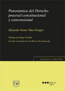 Panormica del Derecho Procesal Constitucional y Convencional