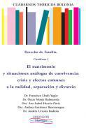 El matrimonio y situaciones análogas de convivencia