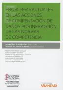 Problemas actuales en las acciones de compensacin de daos por infraccin de las normas de competencia