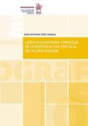 La eficacia material y procesal de la sentencia civil ms all de la cosa juzgada