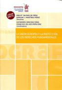 La Unin Europea y la proteccin de los Derechos Fundamentales