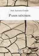 Pasos mnimos