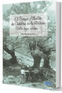 El bosque atlntico de Cantabria en la historia