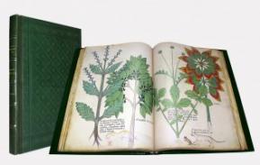 Tractatus de herbis