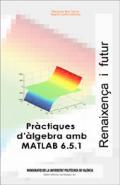 Prctiques d'lgebra amb MATLAB 6.5.1