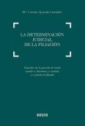 La determinacin judicial de la filiacin