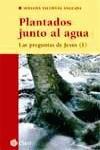 Plantados junto al agua