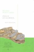 Erdi aroko hiri baten sorrera = gnesis de una villa medieval