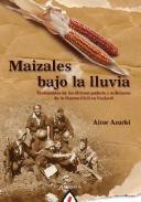 Maizales bajo la lluvia