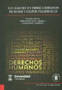 Reflexiones en torno a derechos humanos y grupos vulnerables