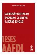 A Dimenso Coletiva do Processo e os Direitos Laborais e Sociais