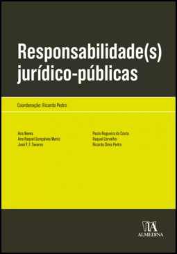 Responsabilidade(s) jurdico-pblicas