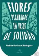Flores plantadas em vasos de solido