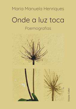 Onde a luz toca