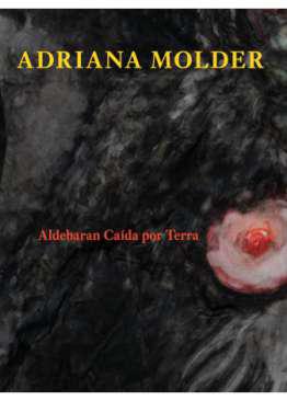 Aldebaran cada por terra