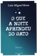 O que a noite aprendeu do gato