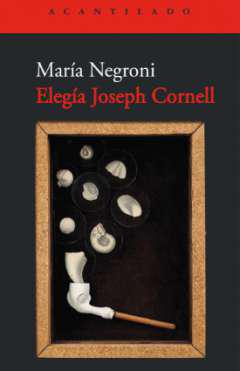 Eleg&iacute;a Joseph Cornell