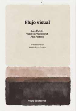 Flujo visual